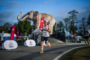 BIB: 
                            <button type="button" onclick="openModal(26541812)" class="btn btn-primary btn-sm float-right btn-popup" data-toggle="modal" data-target=".modal-high-quality">
                        <i class="fas fa-shopping-cart"></i> Add to Cart
                    </button>
                                            <button type="button" onclick="isThisMe(26541812, true)" class="btn btn-success btn-sm float-right btn-popup btn-isme hidden" data-toggle="tooltip" data-placement="bottom" title="นี่คือรูปของคุณใช่ไหม คลิกที่นี่เพื่อเอาเข้าอัลบั้ม">
                        <i class="fas fa-plus"></i> Add to album
                    </button>
                    <button type="button" onclick="isThisMe(26541812, false)" class="btn btn-warning btn-sm float-right btn-popup btn-isnotme hidden">
                        <i class="fas fa-ban"></i> Remove from album
                    </button>